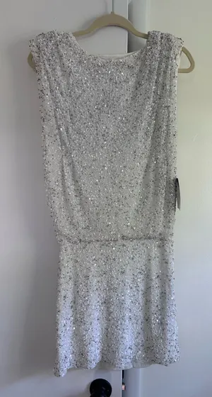 Retrofete Carnegie Sequin white silver beaded dress size small NWT thumbnail 1