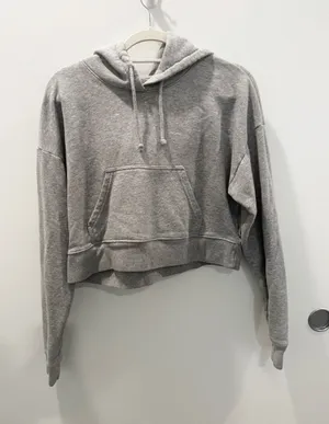 Aritzia TNA Gray Cropped Hoodie Sweatshirt Cotton Blend Size XS thumbnail 1