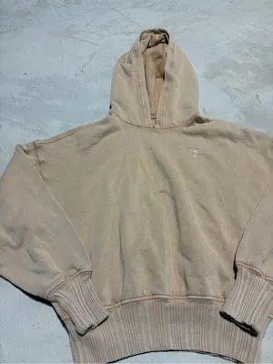 Aerie Embroidered bow Logo Beige Hooded Sweatshirt small thumbnail 2