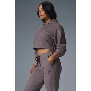 Alo Yoga Muse Hoodie Raisinette Heather M thumbnail 11