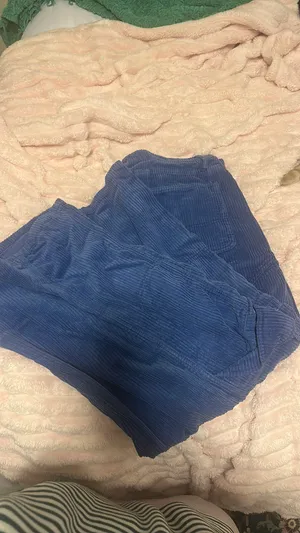 Urban Outfitters Corduroy BDG Pants thumbnail 3