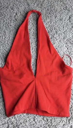 Zara Womens Red Halter Crop Top L NWOT Sleeveless Plunge Neck Summer Casual thumbnail 1