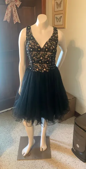 Blush Prom Homecoming Prom Dress thumbnail 1