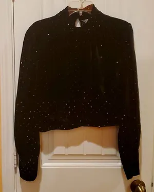 ZARA Velvet sparkling top Size L thumbnail 1