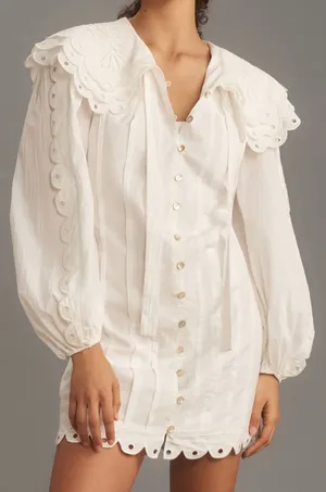 Anthropologie Farm Rio Long-Sleeve Embellished Collared Mini Dress Size L thumbnail 1