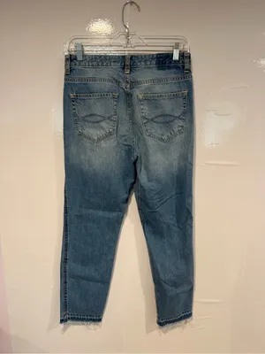 Distressed Blue Abercrombie and‎ Fitch vintage signature collection jeans thumbnail 4