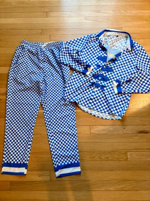 NWOT Blue Checkerboard Sardine Fish Matching Shirt & Pants Set thumbnail 2