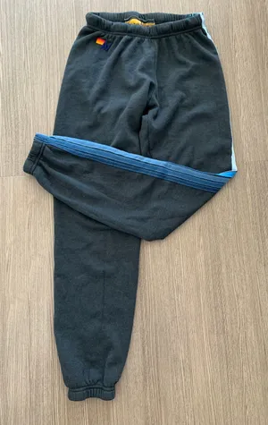 Aviator Nation 5-Stripe Sweatpants thumbnail 2