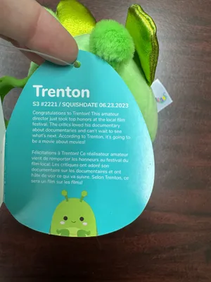 NWT Squishmallow Trenton Praying Mantis Plush Keychain Green thumbnail 3
