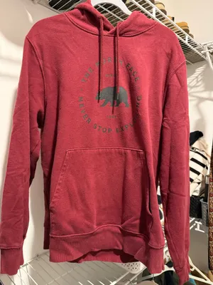 The North Face Red Hoodie thumbnail 2
