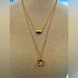 Gold color 2 strings Horseshoe Pendant Necklace thumbnail 2