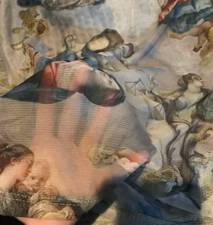 Angel Mesh Top thumbnail 3