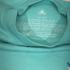Disney Spirit Jersey Adult XS Teal 2024 Run Disney Disneyland‎ Half Marathon thumbnail 9
