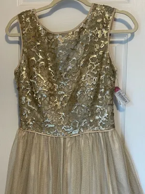 Aidan Mattox Gold Lace Tulle Sleeveless Long formal homecoming Dress 6 NWT thumbnail 2