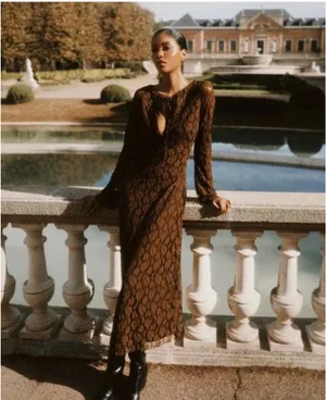 Zara Brown Lace Long-Sleeve Midi Dress thumbnail 5