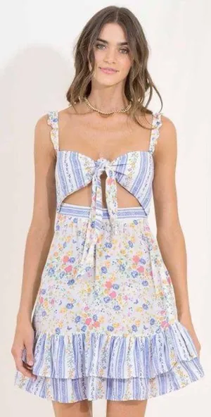 ANTHROPOLOGIE Maaji Backyard Spell Cutout Floral Reversible Mini Dress thumbnail 1