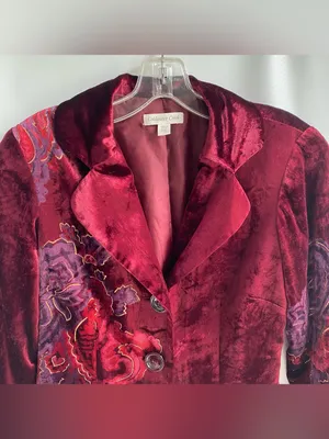 Coldwater creek burgundy velvet blazer grandmacore paisley floral print fall 10 thumbnail 2