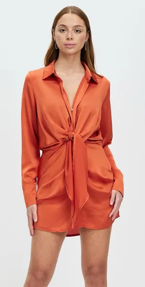 Runaway The Label Ruby Shirt Dress thumbnail 1