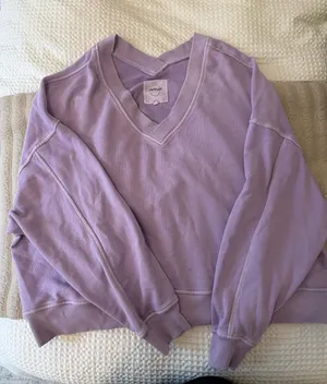Aerie Purple V Neck Hoodie thumbnail 1