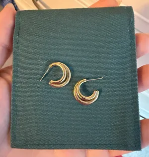 Ana Luisa Earrings Gold Hoop thumbnail 1