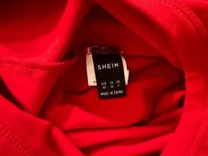SheIn Long Sleeve thumbnail 4