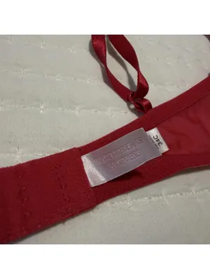 Victoria’s Secret Red Embroidery Mesh Sheer Unlined Bra 34C Underwire thumbnail 6
