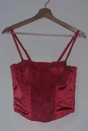 Sincerely Jules Corset Top thumbnail 1