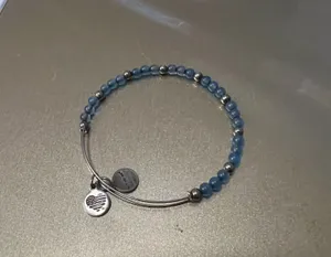 Alex and Ani Bangle Charm Bracelet thumbnail 3