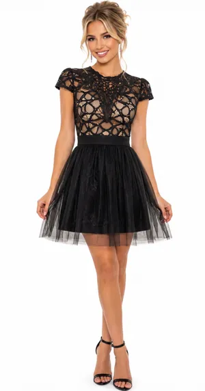 Privy Lace Illusion Tulle Fit & Flare Cocktail Mini Dress - Size S - NWT thumbnail 1