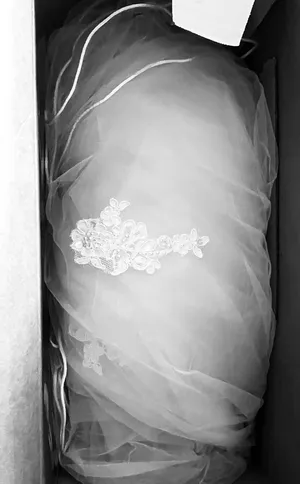 David's Bridal Wedding Dress Ivory Corset Gown Lace Tulle Princess 2 thumbnail 5