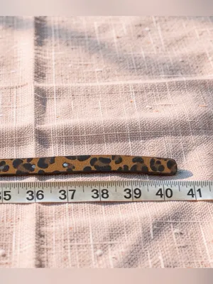 Leopard Print Skinny Belt Gold Buckle Y2K Animal Print thumbnail 6