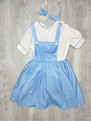 Rubies Dorthy wizard of Oz checked Halloween costume dress cosplay dress up OS thumbnail 3