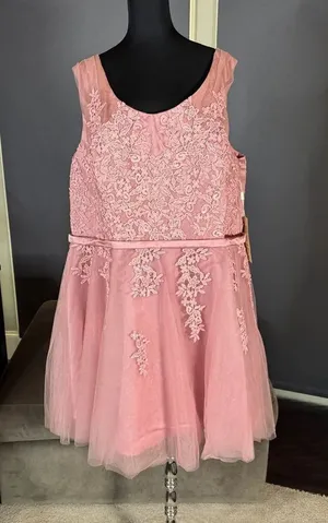 Women’s Pink Lace Short Tulle Prom Party Homecoming Dress Corset Back 24W **READ thumbnail 1
