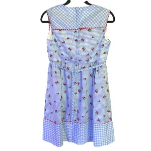 50s Baby Blue Gingham Dress Coquette Strawberry Cottagecore Picnic Retro Femme thumbnail 2