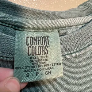 Comfort Colors Women's Size Small Crewneck Sweatshirt Light Green White Virginia thumbnail 8