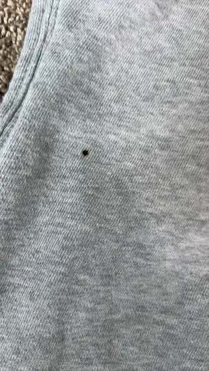 Aerie Joggers Grey Light thumbnail 4