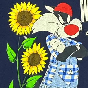 Vintage 90s 1996 Looney Tunes Graphic Tee T Shirt Tweetie Bird Sylvester Large thumbnail 6