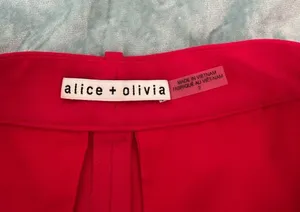 Alice + Olivia Shorts thumbnail 3