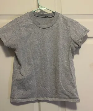 Brandy Melville Gray Crewneck Tee thumbnail 1