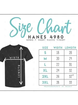 Hanes Nano- T Short Sleeve Light Steele Size Large Unisex thumbnail 8