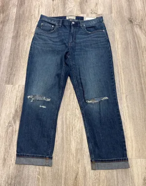 Everlane The Summer Jean High Rise Straight Distressed Organic Blue 30 Regular thumbnail 1