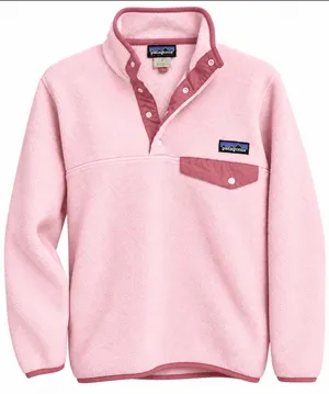 Patagonia Unisex Lightweight Synchilla Snap-T Fleece Pullover thumbnail 1
