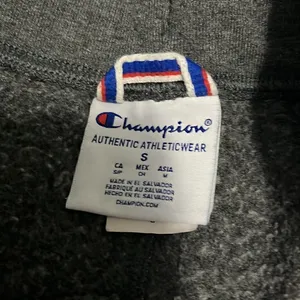 Champion Gray Sweats - S thumbnail 3