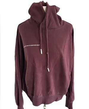 SAGE Burgundy Cropped Hoodie with Message on Front thumbnail 1