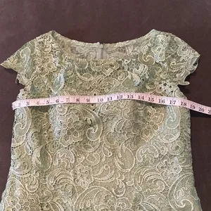 Women’s Green Chiffon & Lace Mid Length Dress with a Zip Up Back Size L NWOT thumbnail 9