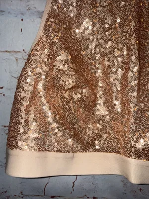 NWT Aerie L Sequin bra Crop Top in Rose Gold festival adjustable straps lined thumbnail 4