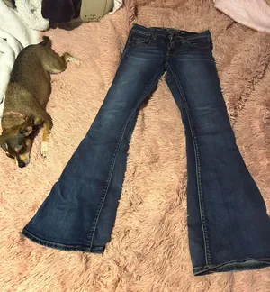 American Eagle Outfitters Boho Flare Jeans thumbnail 1
