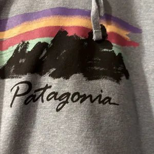 Patagonia Free Hand Fitz Roy Ahnya Hoodie Womens Large Blue Pullover thumbnail 4
