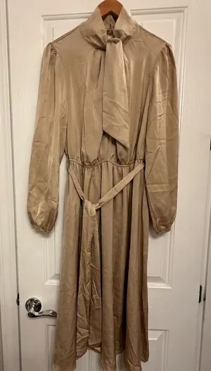 Lyaner Champagne Satin Mock Neck Tie-Waist Long Sleeve Midi Dress Size M thumbnail 1