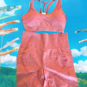 La Cruz pink high-,waisted activewear set New in package thumbnail 3